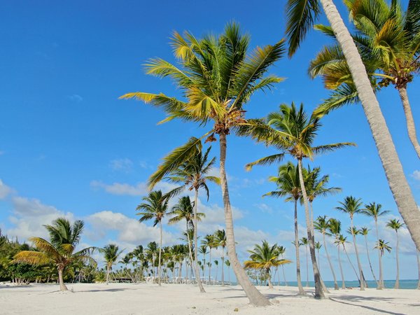 Les activités à ne pas manquer lors d'un voyage de dernière minute